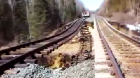 CN High Rail Worker Gets A  Washout Scare | Train Fanatics Videos