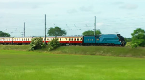 Not Seen In Years: Engine 4464 Bittern Hits 90 MPH!