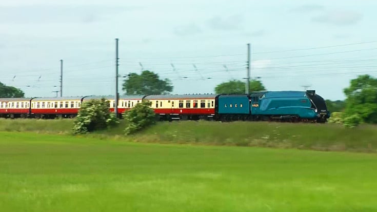 Not Seen In Years: Engine 4464 Bittern Hits 90 MPH! | Train Fanatics Videos