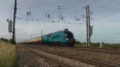 Engine #4464 Bittern: A Steam Speed Demon! | Train Fanatics Videos