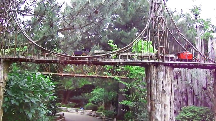 botanical-garden | Train Fanatics Videos