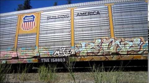 Freight Train Graffiti Comes To You! | Train Fanatics Videos