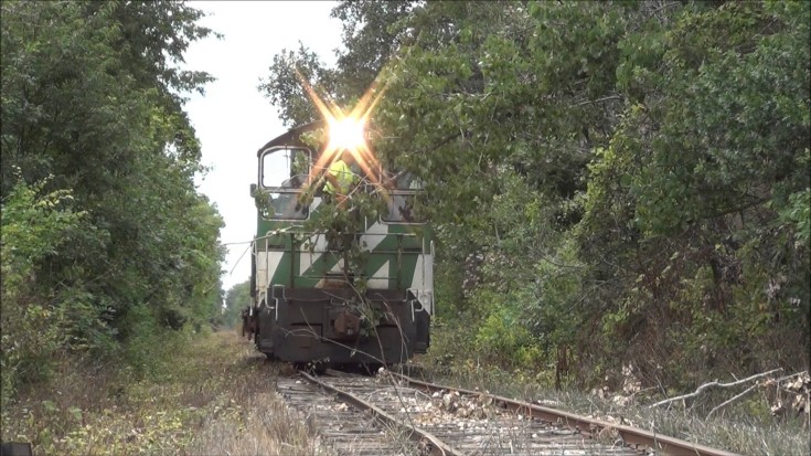 Engineer Uses Chain Saw To Clear The Tracks! | Train Fanatics Videos