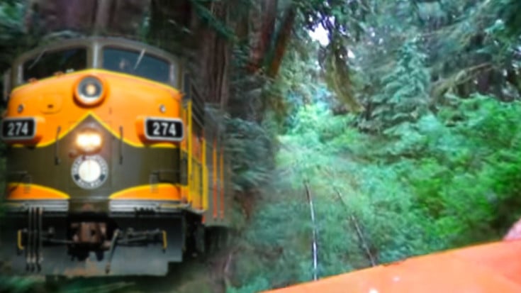 OCSR #274 Takes On Overgrown Tracks | Train Fanatics Videos