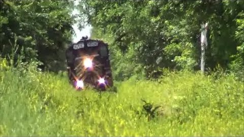 PREX #1606 Chases Cat Out OF The Brush! | Train Fanatics Videos
