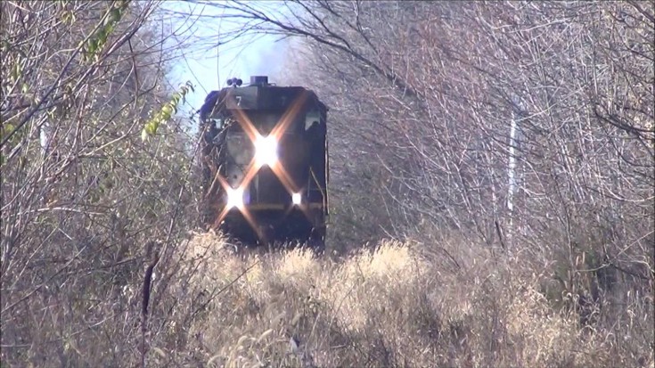 The Tracks Are Under These Weeds Somewhere! | Train Fanatics Videos