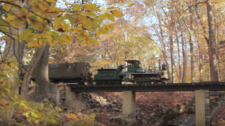 15 ” Gauge Perfect For Your Back Yard | Train Fanatics Videos