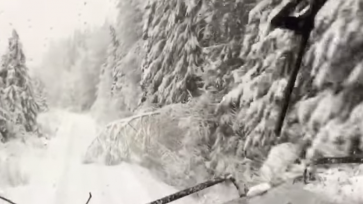 _3__Train_plows_through_trees_after_snow_storm__-_YouTube | Train Fanatics Videos