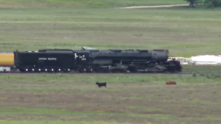 Big Boy #4014 Revenue Run | Train Fanatics Videos Big Boy #4014 Revenue Run | Train Fanatics Videos
