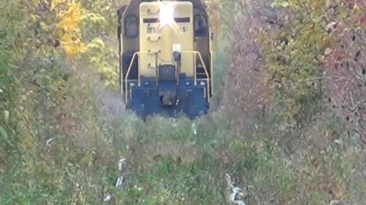 Cutting Through the Weeds – Bad Tracks | Train Fanatics Videos