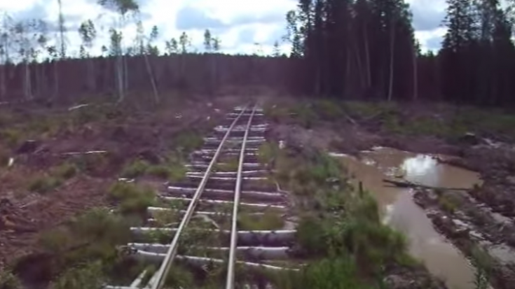 Logging Railroad Built On Logs | Train Fanatics Videos