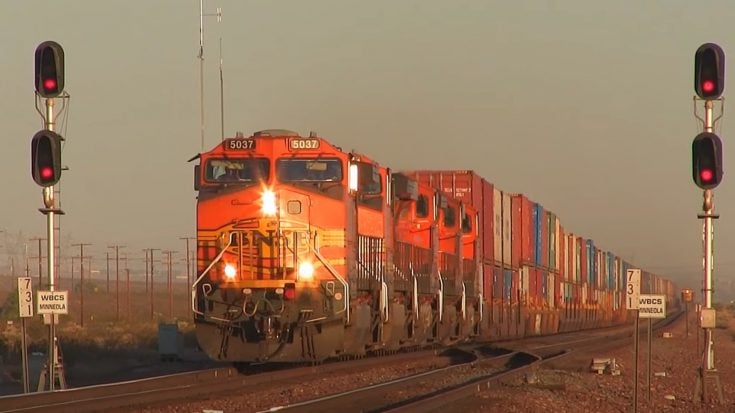 Tons Of BNSF Freight | Train Fanatics Videos